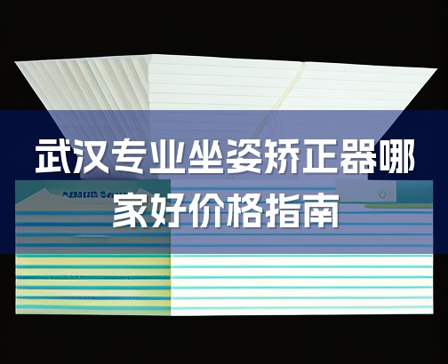 武汉专业坐姿矫正器哪家好价格指南-1