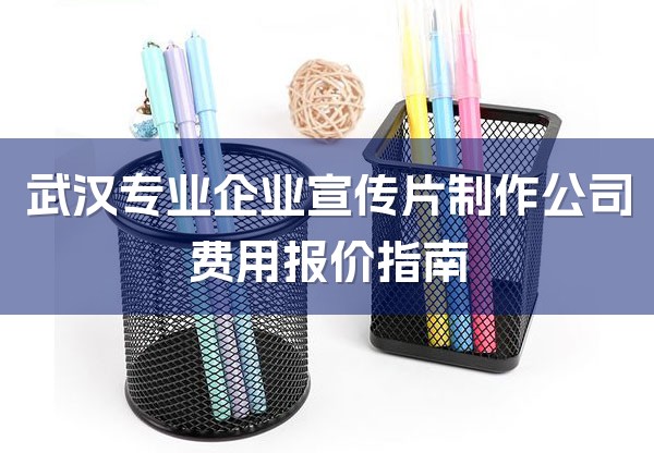 武汉专业企业宣传片制作公司费用报价指南-1