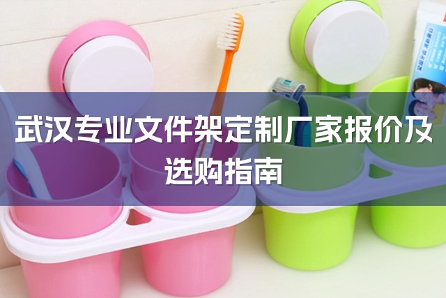 武汉专业文件架定制厂家报价及选购指南-1