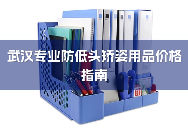 武汉专业防低头矫姿用品价格指南-1